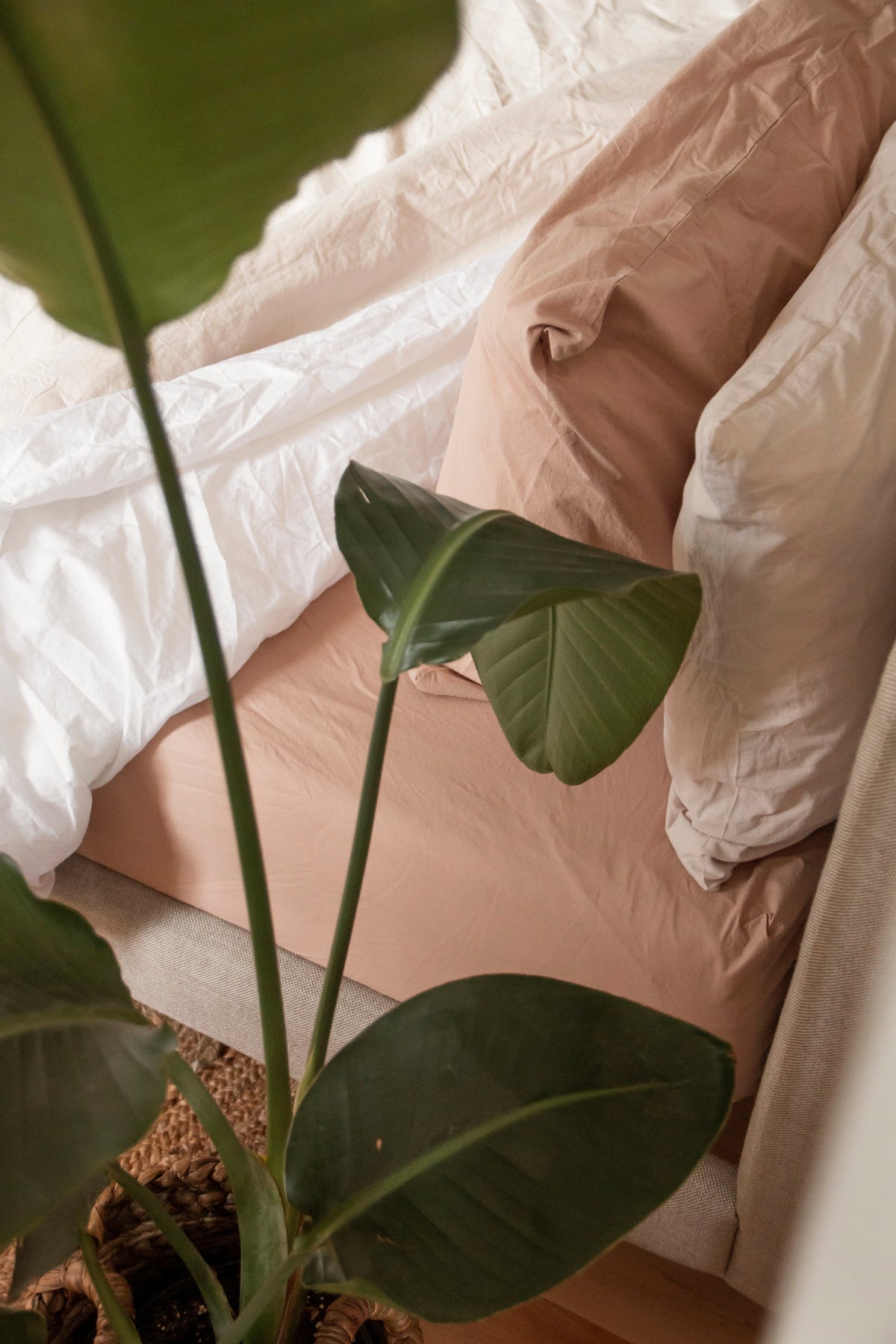 *LAST CHANCE* Turkish Cotton Bedding