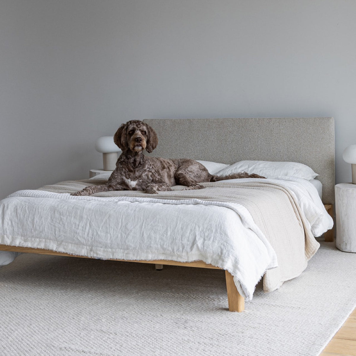 Luna Tool-Free Queen Bed - Buff